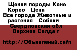 Щенки породы Кане-Корсо › Цена ­ 25 000 - Все города Животные и растения » Собаки   . Свердловская обл.,Верхняя Салда г.